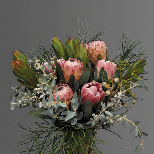 Native Flowers