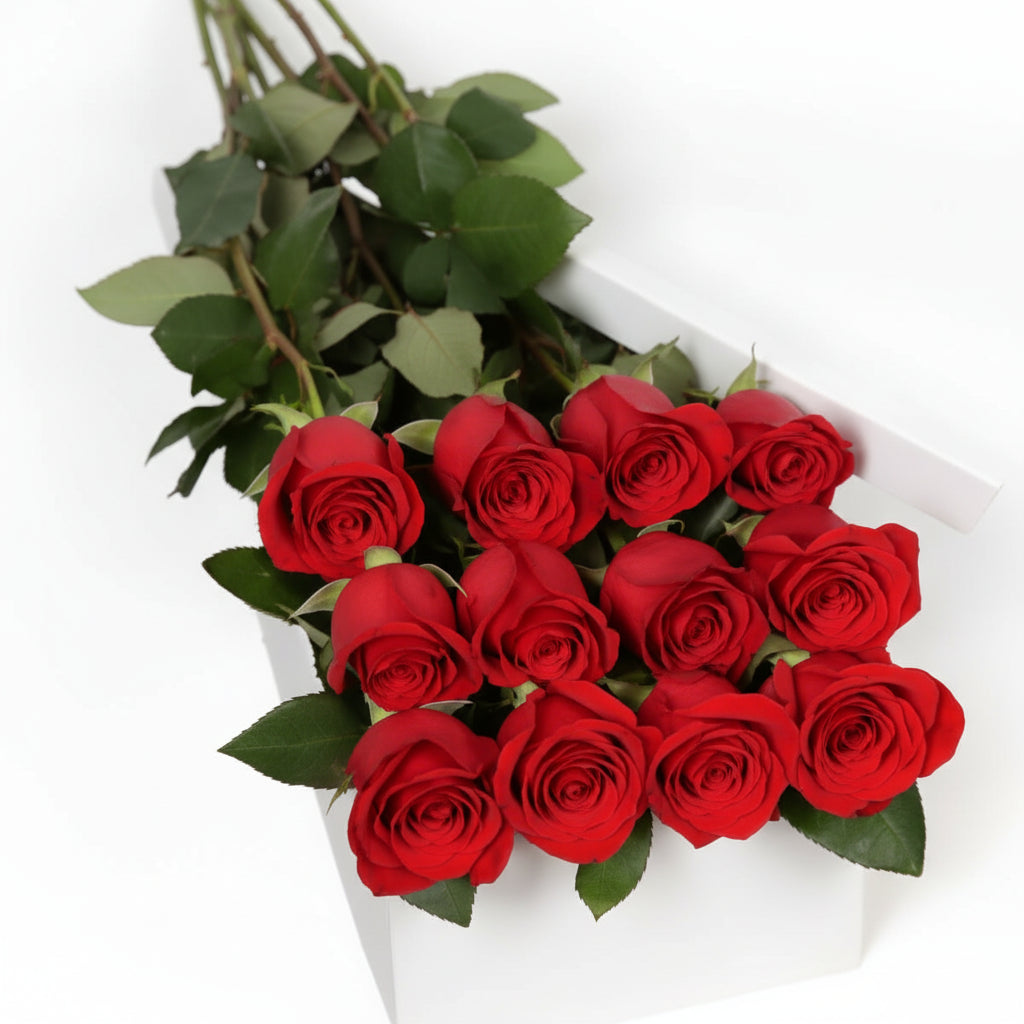 Rose In A Box