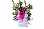 Pretty Hat Box - Standard